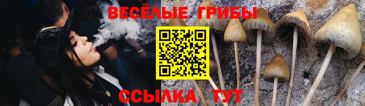 Сибай  Псилоцибиновые грибы мицелий  Вход с VPN 